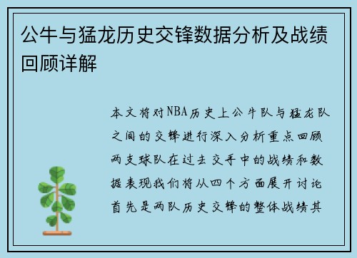 公牛与猛龙历史交锋数据分析及战绩回顾详解