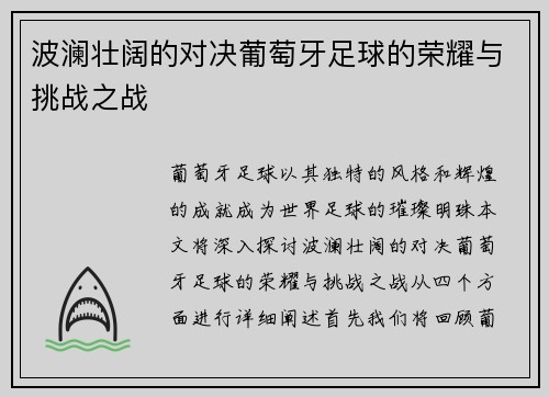 波澜壮阔的对决葡萄牙足球的荣耀与挑战之战