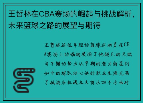 王哲林在CBA赛场的崛起与挑战解析，未来篮球之路的展望与期待