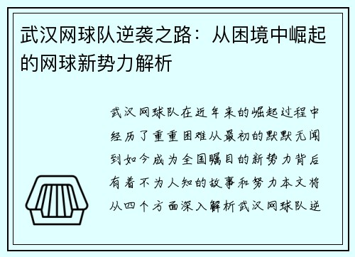 武汉网球队逆袭之路：从困境中崛起的网球新势力解析